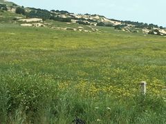 -熙成烧烤·三十三年(开发区店)