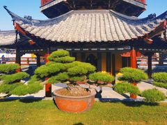 -龙华寺