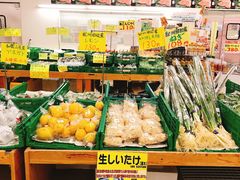 -海鮮寿司とれとれ市場