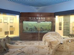 -古车博物馆