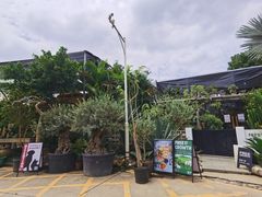 -自由生长植物工作室(深港花卉中心店)
