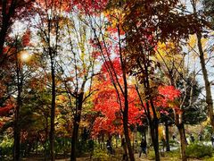 -长春市南湖公园