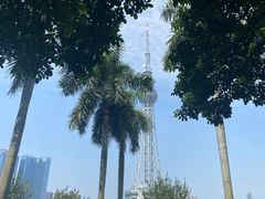 -文华公园(禅城区)