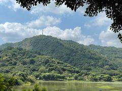 -风云岭森林公园