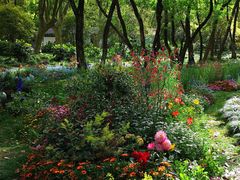 -上海共青森林公园