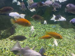 -常州海昌海洋探索馆