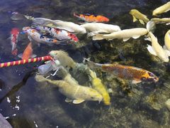 -鸿通城购物中心