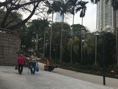 -九龙公园