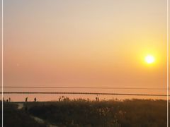 -合肥滨湖国家森林公园