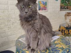 -平行世界·猫咖(首经贸店)