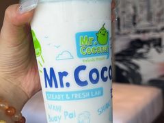 -新加坡瑞士史丹福酒店