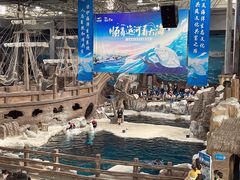 -杭州长乔极地海洋公园
