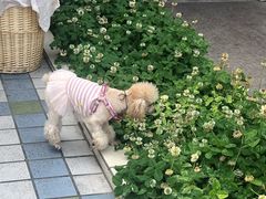 -洋县服务区-停车场