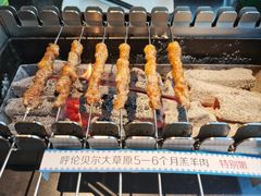 呼伦贝尔羊肉串-很久以前羊肉串(中山公园店)