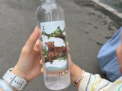 -成都动物园