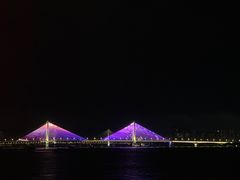 -武汉两江游览·夜游长江(汉口粤汉码头)