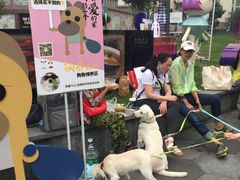 -上海尚嘉中心