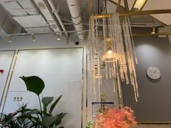 -初颜品佑肌肤管理