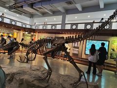 -自贡恐龙博物馆