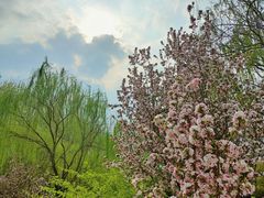 -元大都城垣遗址公园