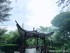 -晓港公园