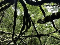 -栾川竹海野生动物园