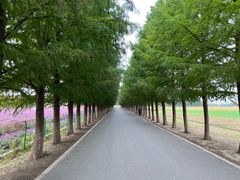 -嘉北郊野公园