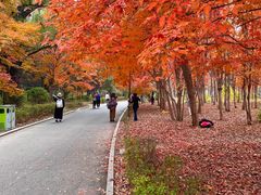 -长春市南湖公园