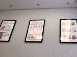 -佳慕皮肤管理连锁