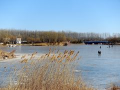 -马家湾湿地公园