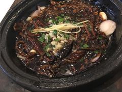 -香雪海饭店中餐厅(玉山店)