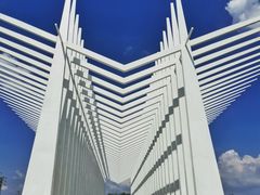 -风云岭森林公园