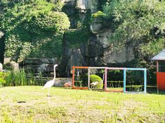 -沈阳鸟岛