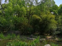 -新江湾城公园