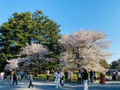 -京都御所