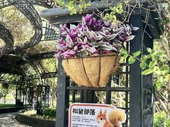 -青岛鑫江温德姆酒店