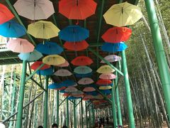 -陶祖圣境风景区