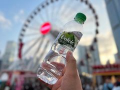 -中环4号渡轮码头