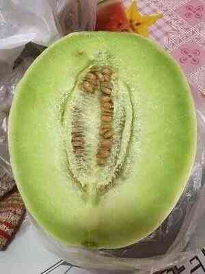 南汇玉菇甜瓜-"交通便利 地铁直达 逃离城市 享受闲适生.