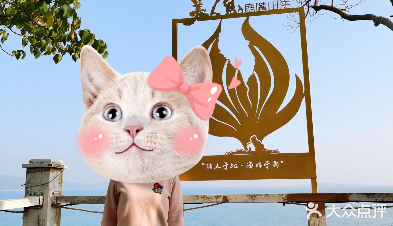 270度海景餐厅[吐][亲亲]早餐(ﾟДﾟ)ﾉ