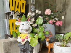 -谷咖啡·鲜花绿植花园餐厅