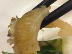 -大中鱼翅 Taitong Shark Fin