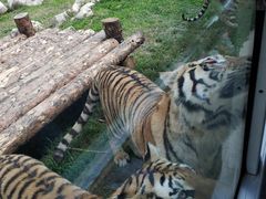 -西安秦岭野生动物园