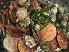 -船梆煮•蒸汽海鲜·炉火烤肉(五四广场店)