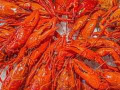 -虾乐园龙虾·夜宵(松江店)