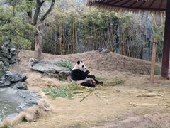 -杭州野生动物世界