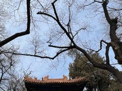 -北京国子监胡同