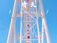 -顾村公园