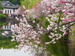 -无锡蠡湖国家湿地公园-蠡园