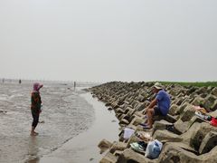 -南汇嘴观海公园